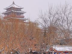-莲花池公园