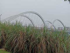 -新津老码头旅游小镇