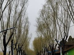 -青龙湖公园