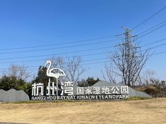 -宁波杭州湾国家湿地公园