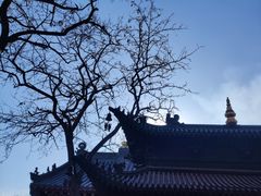 -护国法轮寺