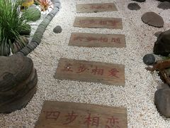 流沙包-粤式早茶希朋喜宴