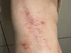 -天津海河悦榕庄·Lobby Lounge大堂吧