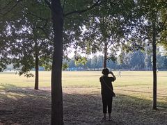 -西海子公园