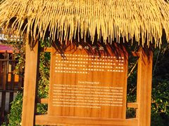 -长兴岛郊野公园农场食堂