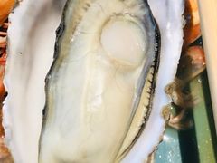 -海食焗(新光天地店)