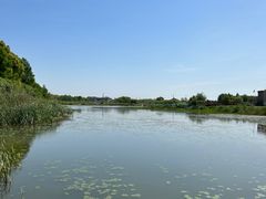 -贡湖湾湿地公园