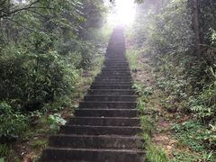 -桃花岭景区
