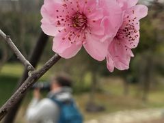 -苏州环秀晓筑养生度假村