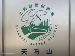 -上海佘山国家森林公园天马山园