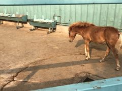 -酷鱼垂钓CLUB(朝阳区博大路店 )