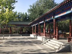 -莲花池公园