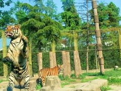 -上海野生动物园