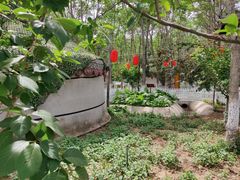 -草根堂农场