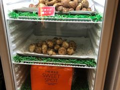 -太婆天府山珍酒楼(亚运村店)