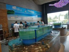 水产区-蓝珊甄选海鲜自助·火锅大排档(近阿那亚店)