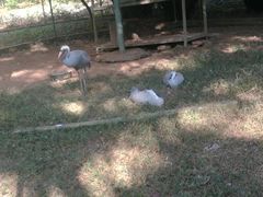 -广东茂名森林公园