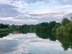 -白鹭湾湿地公园