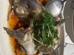 -强记海鲜·大排档(蛇口新街店)