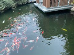 -中国农业大学(西校区)