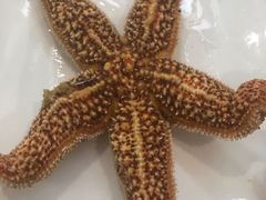 -宾朋海鲜特色美食餐厅·纯手工鲅鱼水饺(兴海路店)