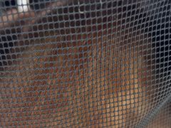 -汪喵宠物医院·骨科心脏影像·犬猫急重症ICU诊疗中心(成华分院)