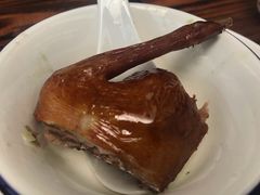 -南海鸽天下(肇庆店)