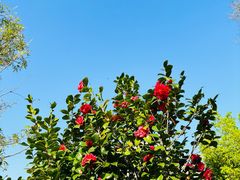 -中国客家博物馆