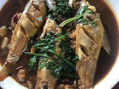 小杂鱼-杨辉饭店