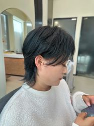 点击看大图 -GANO HAIR