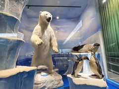 -国家自然博物馆