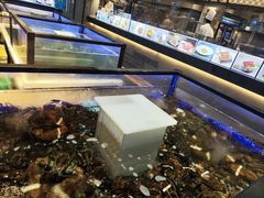 -同庆楼(滨湖万达广场店)