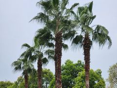 -府河摄影公园