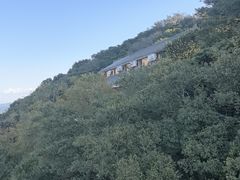 -普陀山慧济禅寺