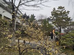-江宁织造博物馆