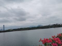 -厦门园林博览苑