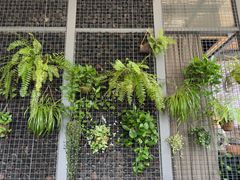 -肴约·花园式餐厅(湖里店)