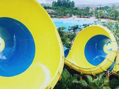 -美的鹭湖探索王国