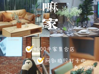 知嘛家｜年轻人‍♀️喜欢的风格这里全都有