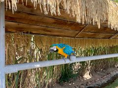 -西霞口神雕山野生动物世界