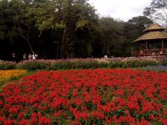 -广州市石门国家森林公园
