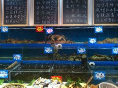 水产区-黄寺蒸汽海鲜(黄寺大街店)