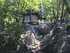 -中国茶叶博物馆(双峰馆区)