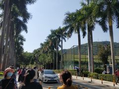 -李师傅脆肚(梅林店)