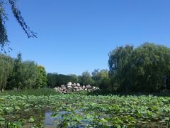 -东升八家郊野公园