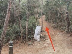 -东钱湖旅游度假区