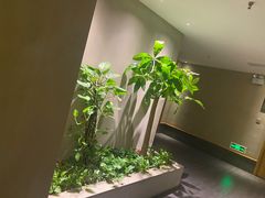 -合和大唐(江夏纸坊店)