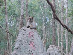 -普洱太阳河森林公园