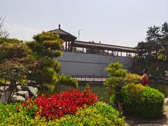 -中国唐苑