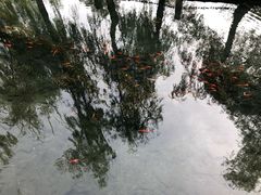 -水磨沟公园